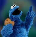 cookie monster.png