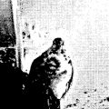dithered-image (12).png