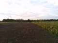 SUNP0200.JPG