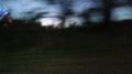 IMG_20260218_185141.jpg
