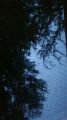 IMG_20250626_055720.jpg