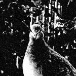 dithered-image (3).png