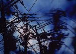 power wires.jpg
