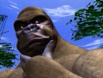 gorilla thinking.jpg
